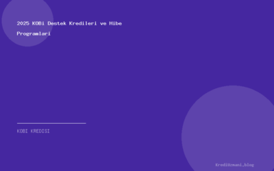 2025 KOBi Destek Kredileri ve Hibe Programlari